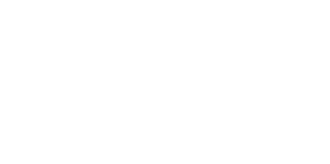 Partner technologiczny